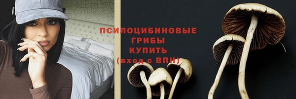 гашиш Каменногорск