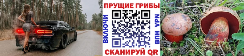 Галлюциногенные грибы ЛСД  Купить закладки  Городец 